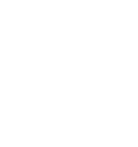 Everstar media