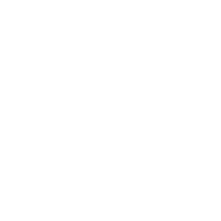 Icon đào tạo & định hướng